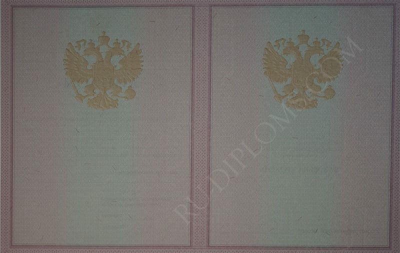 Диплом техникума или колледжа 2004-2006 год 